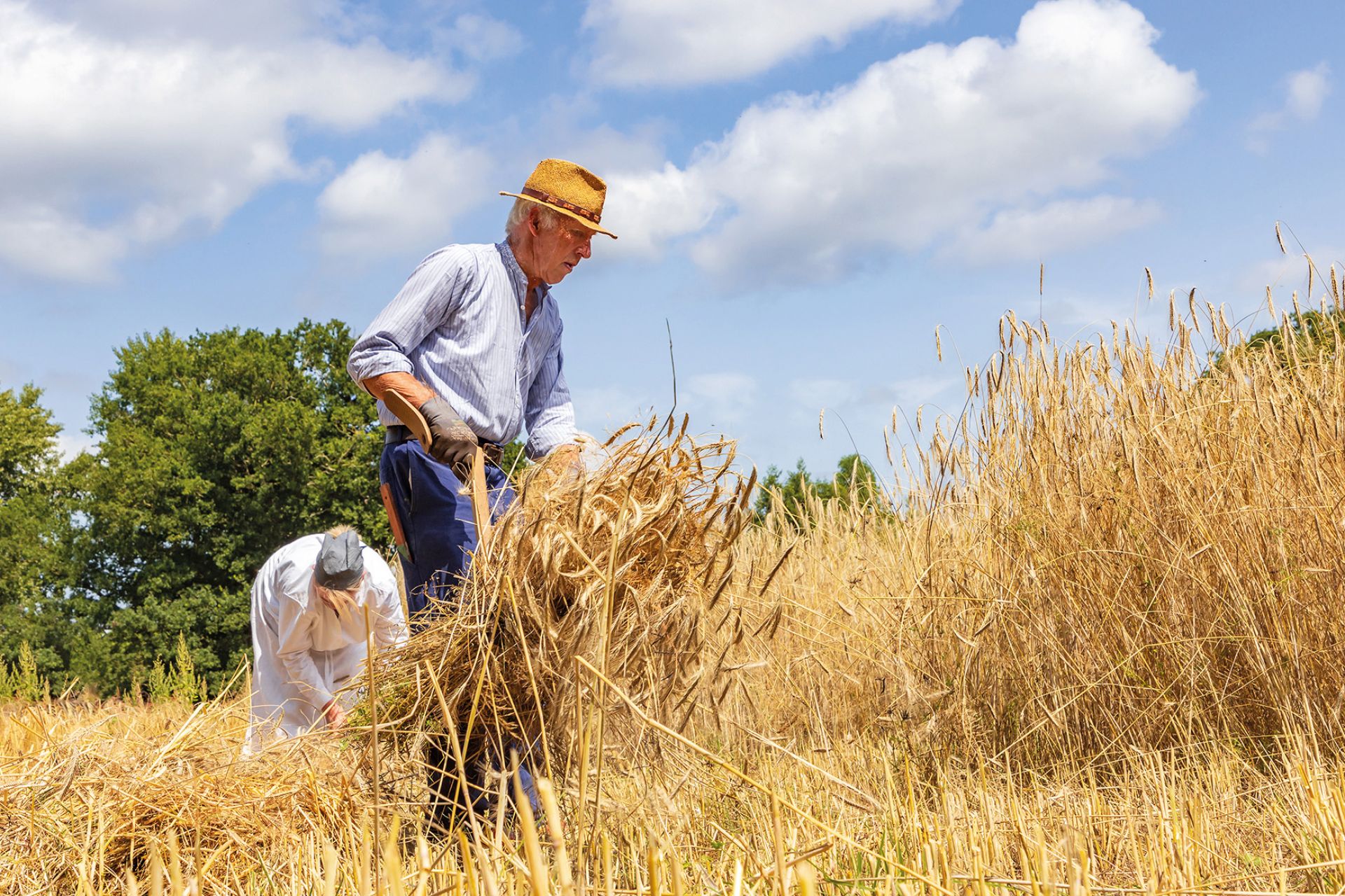 Boer en land Wendezoele
